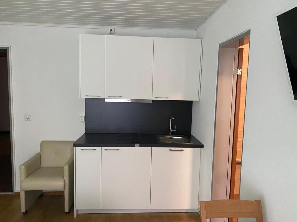 Studios With Kitchenette Birsfelden Dış mekan fotoğraf